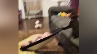 Videos De Risa De Animales 2023 - Perros y Gatos Chistosos - Videos De Animales .