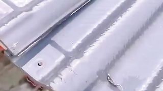 Extraordinary Techniques and Skills
