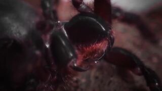 10 Самых Опасных Пауков в Мире.
