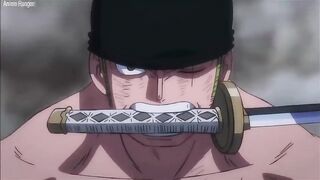 Zoro VS King Part 2