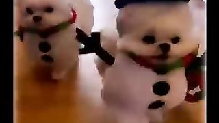 Подборка приколов про животных