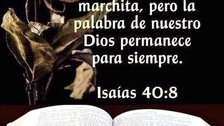 Dios Todopoderoso