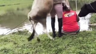 Comedy funny