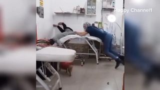 Funny Videos Compilation. Pranks - Amazing Stunts - By Happy Channel #37