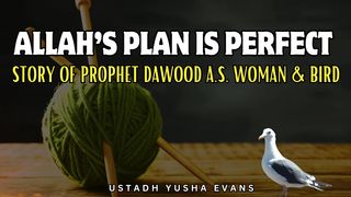 ALLAH’S PLAN IS PERFECT | Inspirational Story: Prophet Dawud A.S. Woman & Bird | Ustadh Yusha Evans