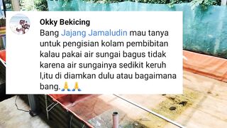 Ikan lele memang hidup di air, pertanyaannya air yang seperti apa yang diinginkan oleh ikan lele❓