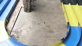 Balapan Tamiya