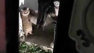 Kocheng Na Minta Tolong