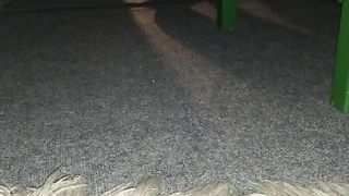 sick cats