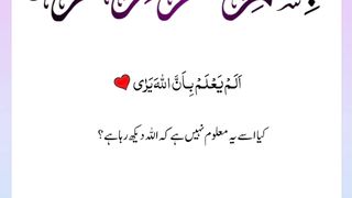 Quran , Al Quran Surah 96 Ayat 14 #viral #shorts #quran #youtubeshorts #ayat