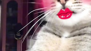 Amazing video