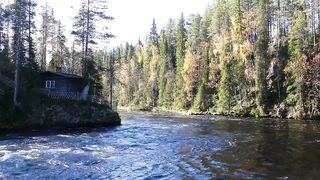 Cabin in the woods and a river