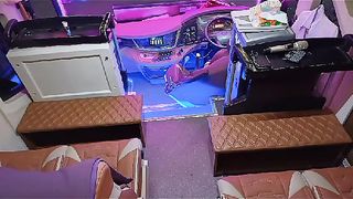 Bus mania