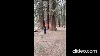ТРИ ВЕКОВНИ СЕКВОИ В МЕСТНОСТТА ЮЧБУНАР КРАЙ КЮСТЕНДИЛСКОТО СЕЛО БОГОСЛОВ
