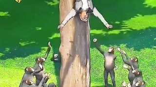 Rescue of a man by the dog