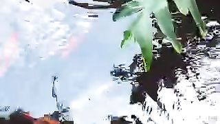 fish in a beautiful pond