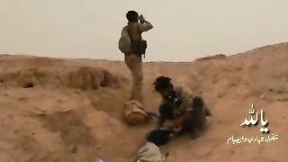 اليمن