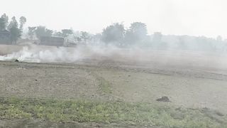 organic farming