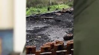 ЧЕСТНО НЮЗ