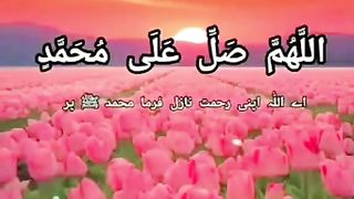 Dorood Sharif parna na boolo