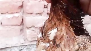 Ye bi chicken ki aik qism hay