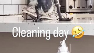 The parrot dropped all the things????#parrot #bird #trending #viral#febspot