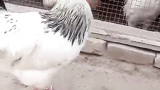 People say that I am very beautiful