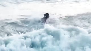 Best FUNNY Videos 2024 ● TOP People doing funny stupid things ???????????? Memes PART#23