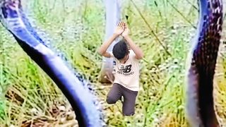 New capcut trending music video watching now and subscribe my channel