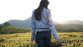 Woman walks and touches the tea plants in the field