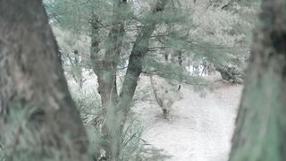 FULL PREWEDDING CINEMA ERINDA & ADITYAI| CENEMATIC | WEDDINGCINEMATOGRAPHY | ARIYAN PHOTOGRAPHY