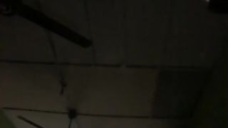 The fan