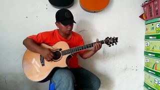 Lily - Alan Walker (fingerstyle cover)