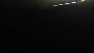 Lion seen