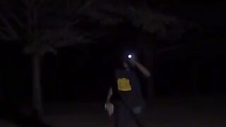 The thief