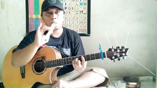 My Heart Will Go On - Celine Dion (fingerstyle cover)