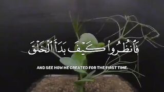 اسلامی و یڈیو