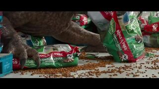Entertainment video clips