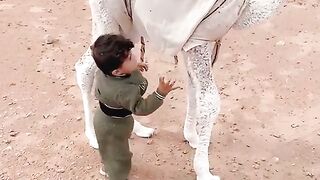Child play Babi camel