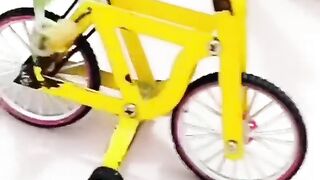 Funny Animals
