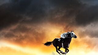 HORSE RACING VIDEO