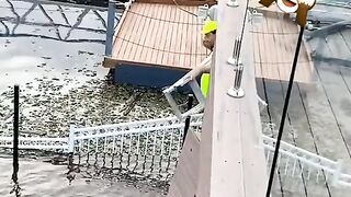 Funny video clip