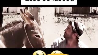 O vídeo mais engraçado da internet