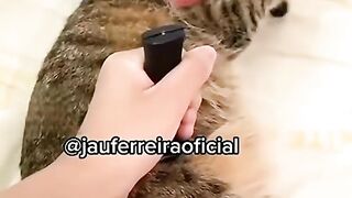 Os vídeos mais divertido da internet