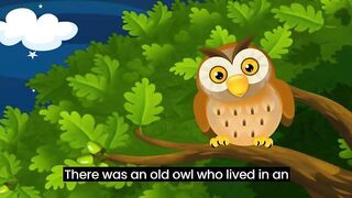 Story of the Wise Old Owl. Kids Story. In English language.