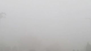 smoggy smoggy
