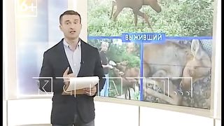 Дачники в Семеновском районе спасли погибающего в лесу