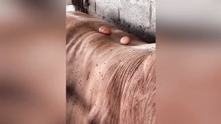 В Это Видео Невозможно Поверить, Но Такие Люди Живут на Нашей Планете.