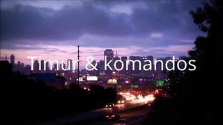 Посылка с Aliexpress. Интерактивная игрушка для кошек.
