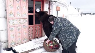 Медведь залез в кафе